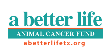 Meet the Women Behind the Scrubs at Pearland Animal Cancer and Referral  Center | A Better Life TX